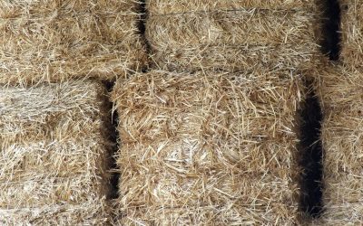 Why Sustainable Construction Materials and Eco-Friendly Building Materials Are on the Rise