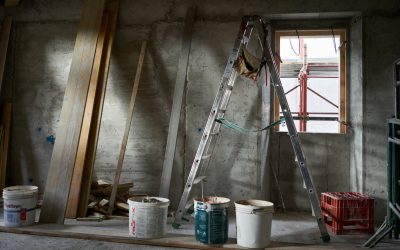 Navigating Tenant Improvement Projects