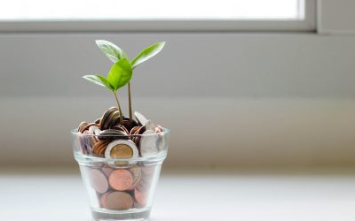 Cost-Effective Strategies for Office Renovations