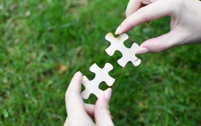 The Role of Public-Private Partnerships in Large Projects