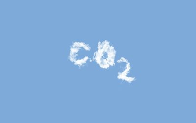 Carbon-Absorbing Materials for Modern Commercial Buildings